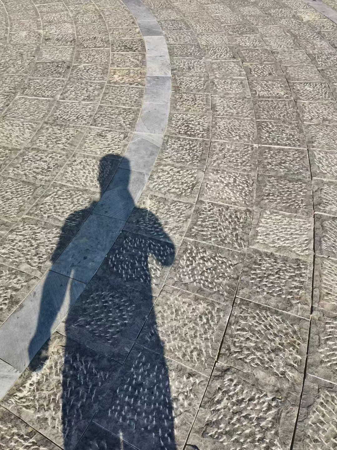 微信图片_20251228115302_194_1.jpg